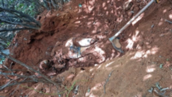 Corpo de mulher assassinada por traficantes é encontrado em Princesa Isabel (PB)