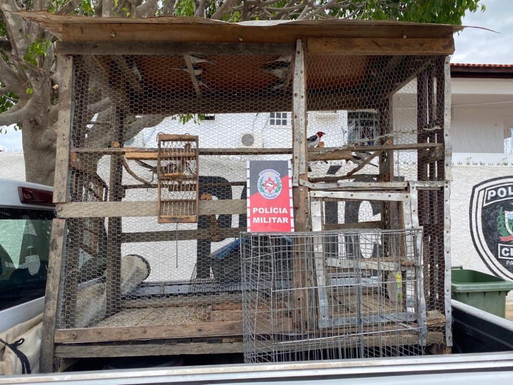 Quase R$ 300 mil em multas foram aplicadas este ano pela Polícia Ambiental de Patos