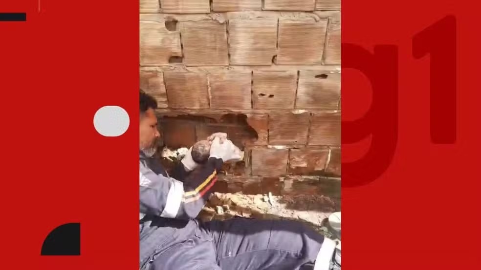 Recém-nascido é encontrado abandonado entre paredes de residências no Litoral Sul da Paraíba