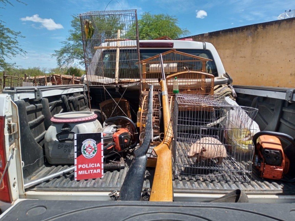 Animais, arma e veículo são apreendidos pela Polícia Ambiental